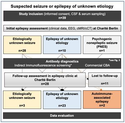 High frequency of cerebrospinal fluid autoantibodies in patients with seizures or epilepsies of unknown etiology